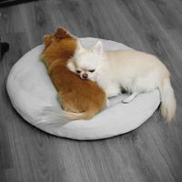 qq1010100trio