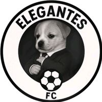 elegantesfc67
