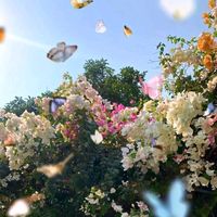 original sound - Your's Choice 🎶🎵