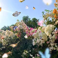 original sound - mirai6914