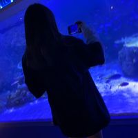 noachosu