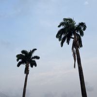 somethingaboutpixels_
