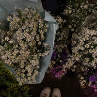 happiness_2542