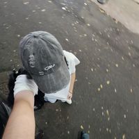 wolf._.08