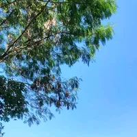 original sound - goneng_78
