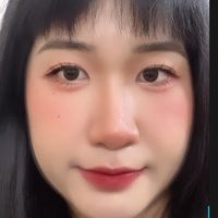 wida1331