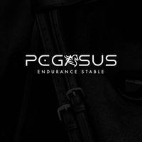 pegasus.endurance