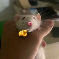 nhạc nền - HIEU "memé" 🤡