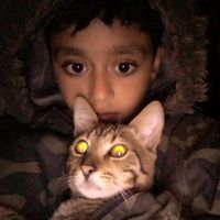 الصوت الأصلي