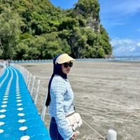 saina1637