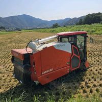 www.tiktok.kenta