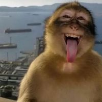 original sound - malboroblast_te