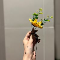 art.her.ist