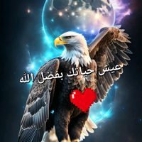 mohammedalawadi92