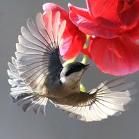 오리지널 사운드 - ogatv