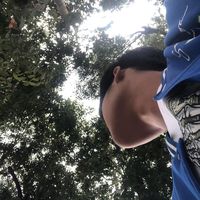 1msfalki