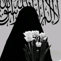 kim.faik543