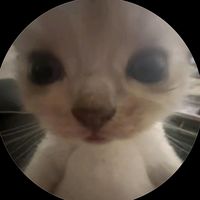 ervinmc