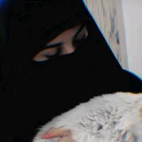 hijabi_is_here