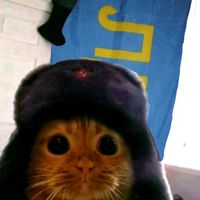 _beqa__