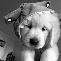 original sound - 🇹 🇺 🇳  🇱 🇦 🇾