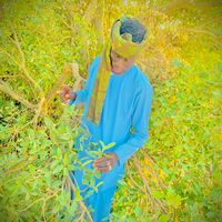 user7466719254071