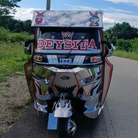 tazmaniag.t