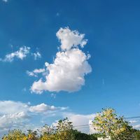 skys.story7