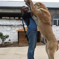 orucovetibar.0