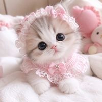 therapeuticanimals