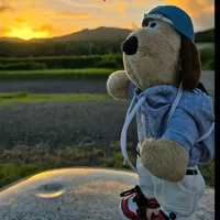 original sound - alfredojh0