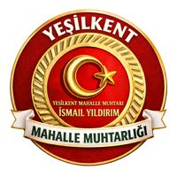 orijinal ses