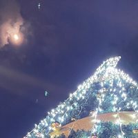 story_8d