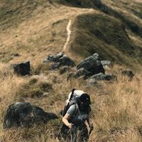 เสียงต้นฉบับ - ยมลลลล