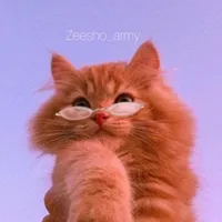 original sound - zeesho_army