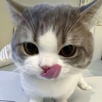 neetjk__