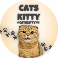 catskitty44