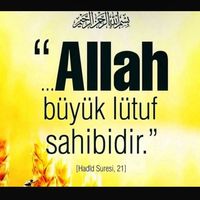 orijinal ses