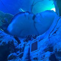 เสียงต้นฉบับ - 𓈃 👚𓈒ᒍᑌᒪIE⸝ ⸝ ⸝ 🧈 ̇˖✿