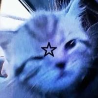 original sound - star