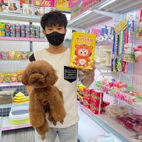 âm thanh gốc - Pet Wow - Cắt Tỉa Chó Mèo