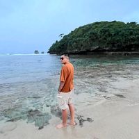 andryprassetya395