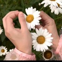 _zehra_4321