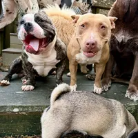 original sound - leeasher422