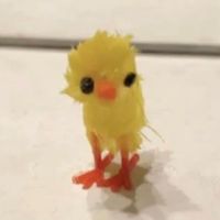 ok_dol_030