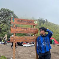 suara asli - wayuday