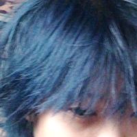 echo_d_