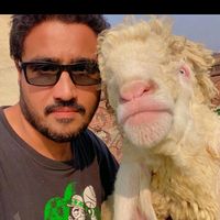 pasha_shahh