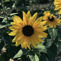 Chấp Mê Bất Ngộ Remix