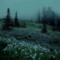 un_random1744